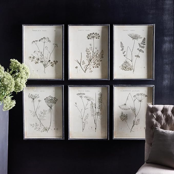 Wildflower Study Art Prints, Set of 6