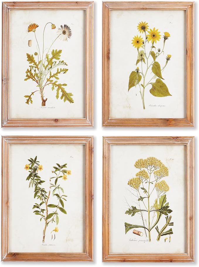 Golden Wildflower Study, Set of 4