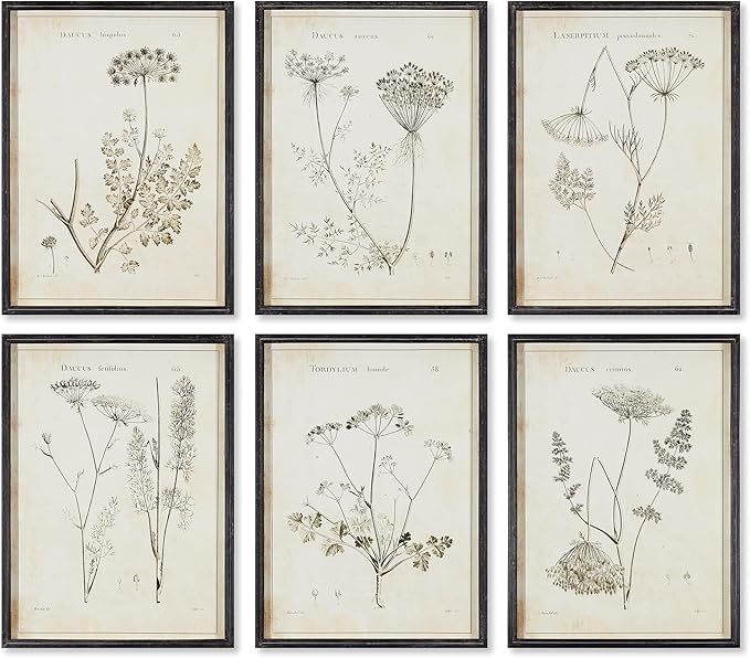 Wildflower Study Art Prints, Set of 6