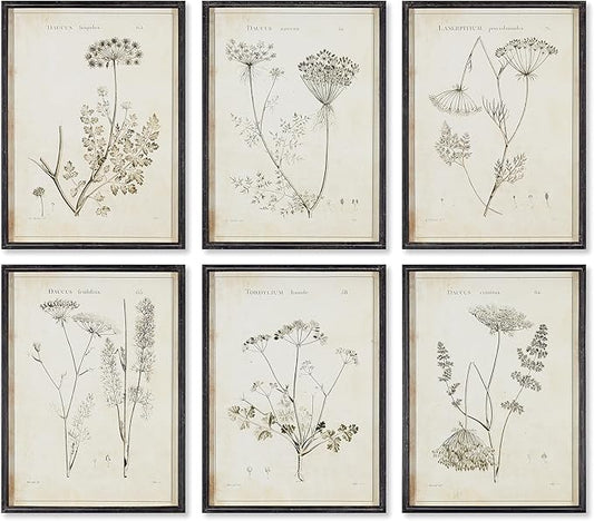 Wildflower Study Art Prints, Set of 6