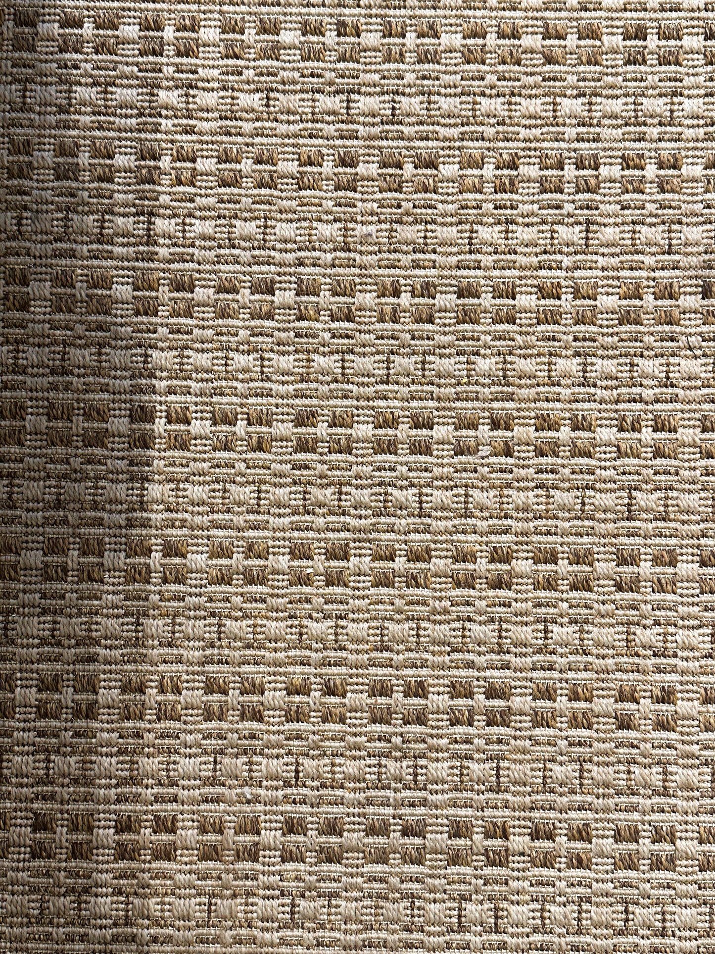 Textured Woven Area Rug