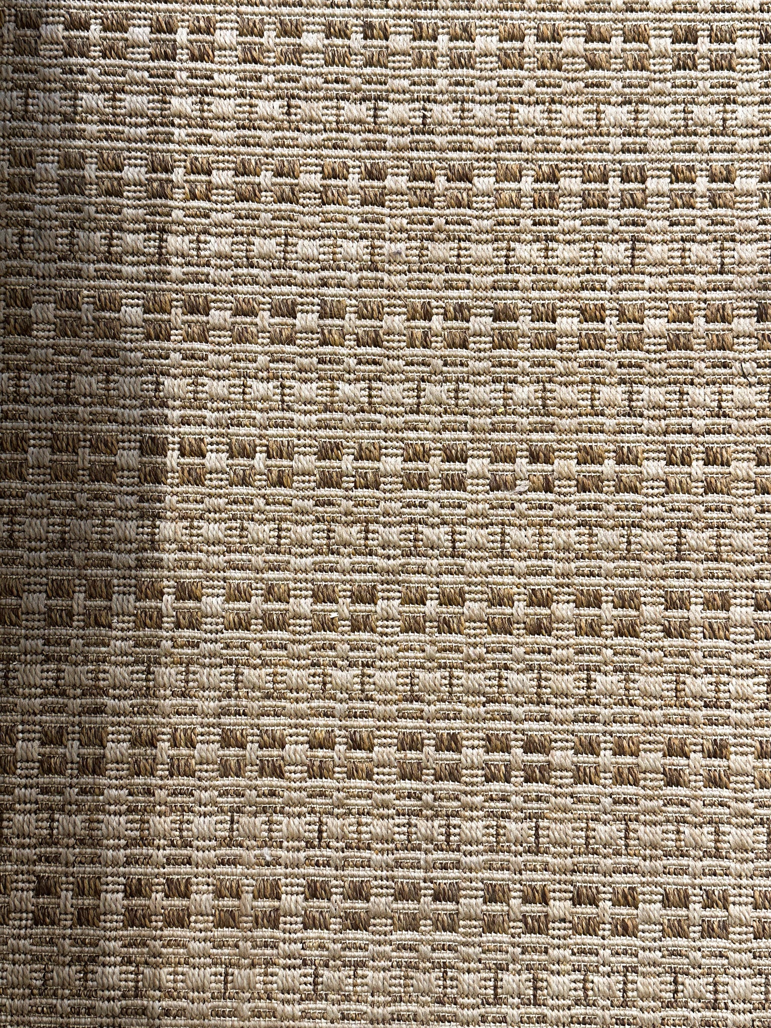 Textured Woven Area Rug